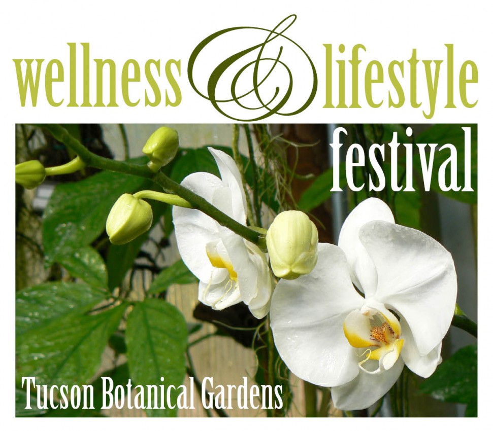 31-Wellness_and_Lifestyle_logo