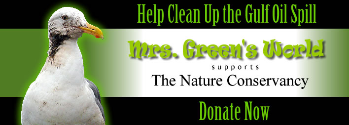 Help Mrs. Green and The Nature Conservancy clean up the Gulf Oil Spill by donating now!