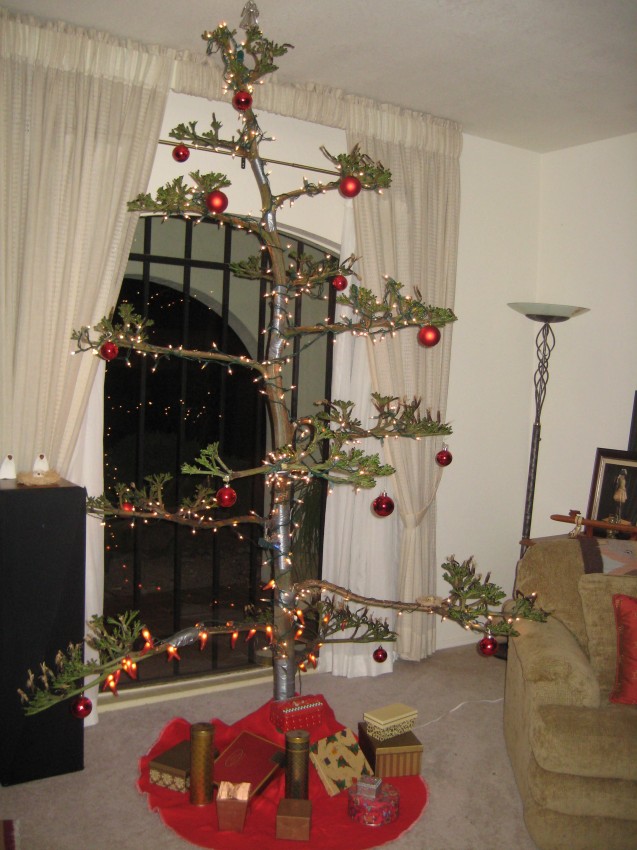 Agave Christmas Tree 003