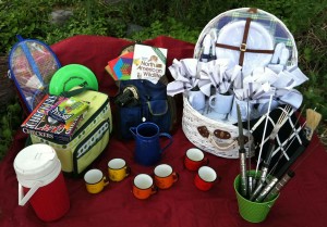 Goodwill Green Adventure Kit