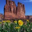 WP_NEWS_nature WP_NEWS_nature