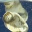 WP_NEWS_plastic2 WP_NEWS_plastic2