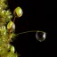 Water - the gift of life Water - the gift of life