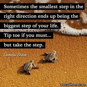 Sometimes the smallest step in the right direction ends up being the biggest step of your life. Tip toe if you must...but take the step -- Gemma Stone