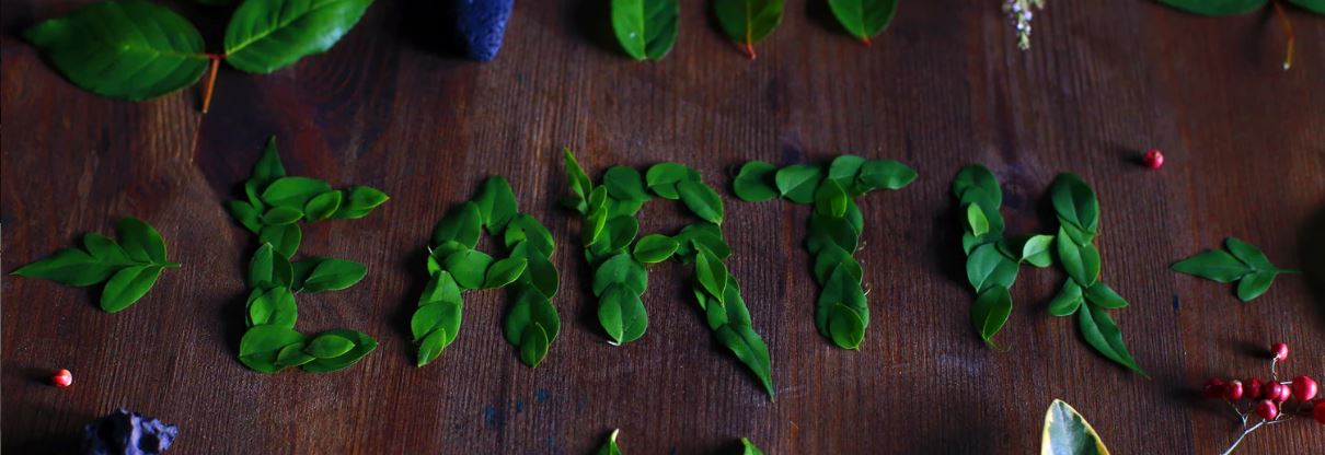 the word "earth" spelled out with leaves