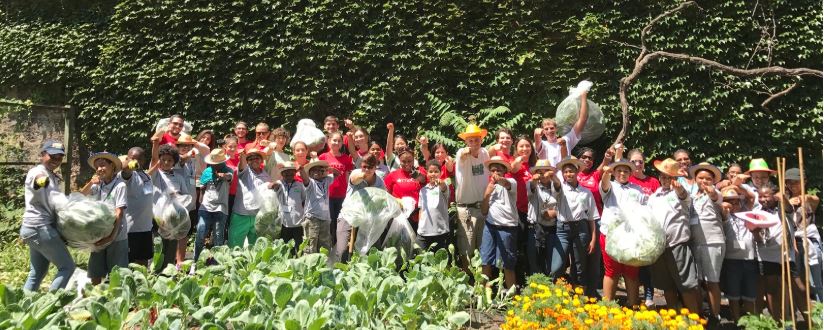 Green Bronx Machine - one of many gardens