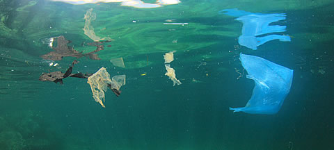 plastic-pollution