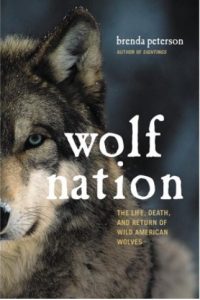 Wolf Nation by Brenda Peterson book cover image