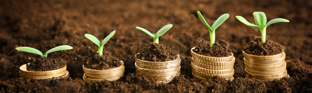 Coins in soil with young plant. Environmental investing.