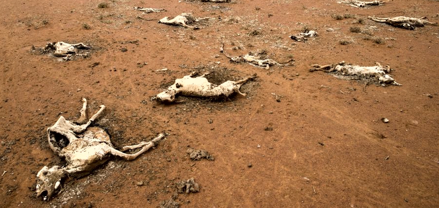 Climate Change Kenya Drought - photograph Katie G Nelson - Oxfam