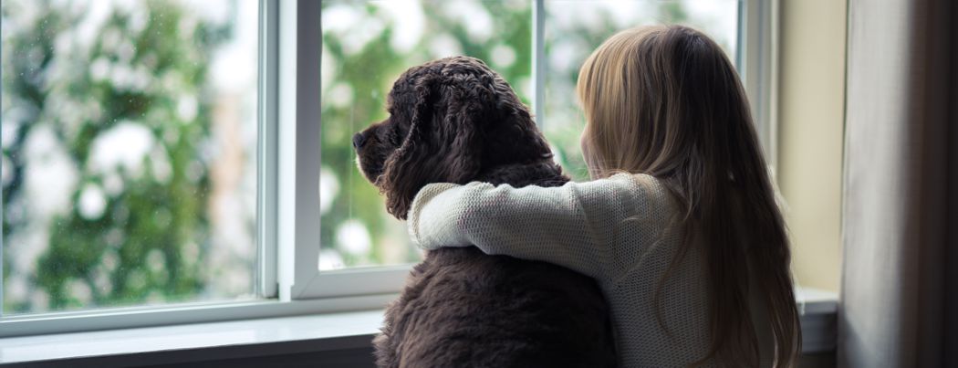 energy saving windows - Little girl and her dog looking out the window