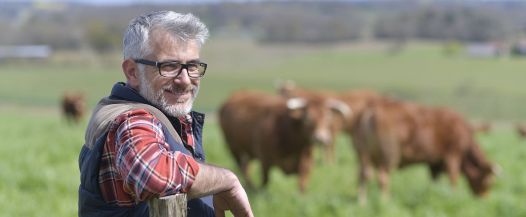 cattle farmer