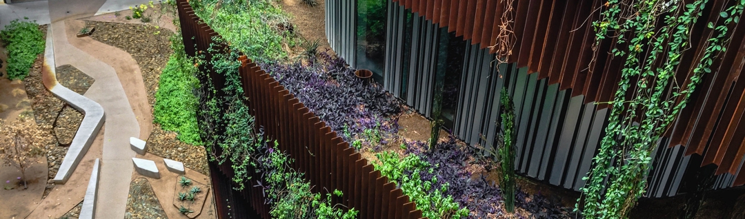 new sustainable building on the campus of University of Arizona