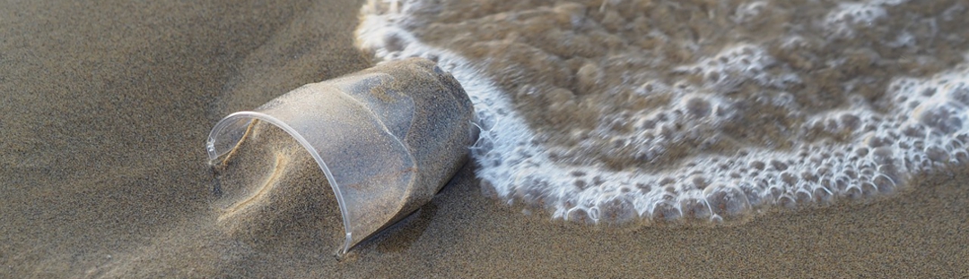 single use plastic glass embedded in sand and beach