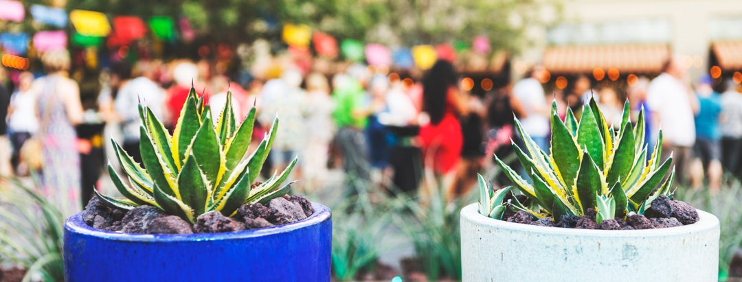 Tucson Agave Heritage Festival