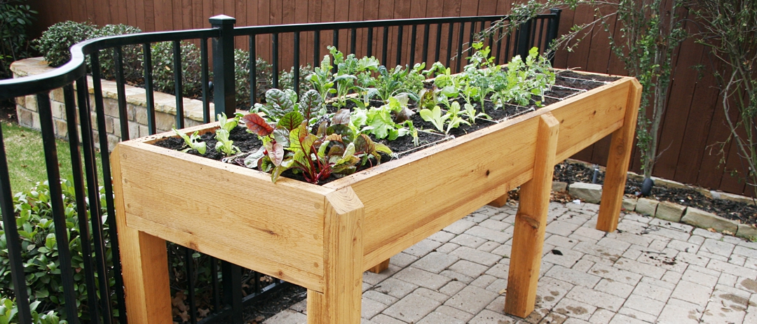 Raised urban garden on balcony