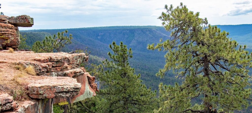 view of the Mogollon Rim, Arizona