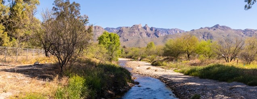 view of mountains around Tucson, Arizona with creek running through