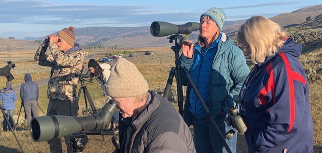 Wolf Watchers at Lamar Valley, Yellowstone National Park