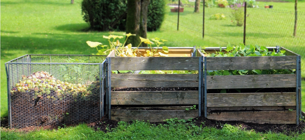 Garden boxes