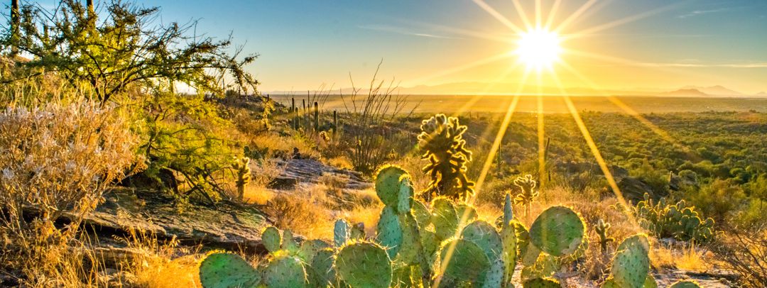 desert sunset