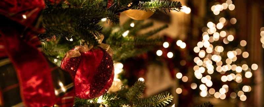 Close up of Christmas tree with white lights in background