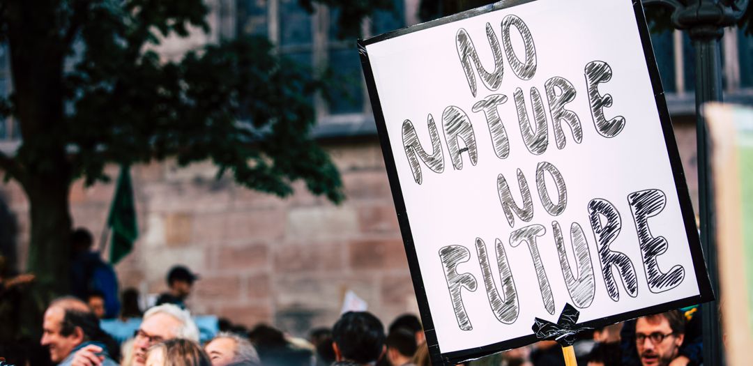 group of people and a sign that says "no nature no future"