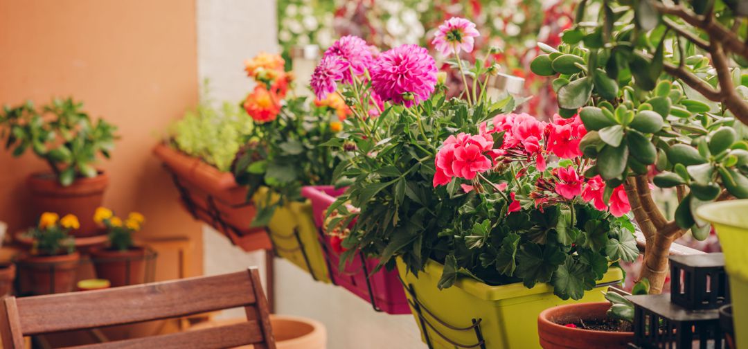 balcony garden