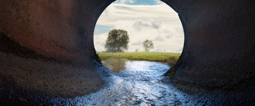 Sewer pipe. Inside view. Meadow and tree in the background.