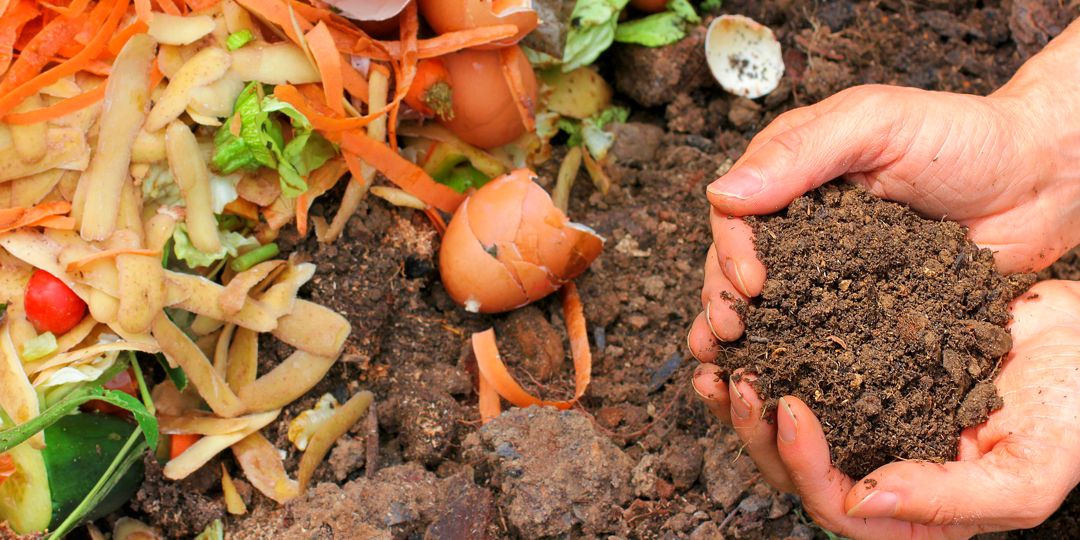 food scraps and hands cupped together holding composting soil