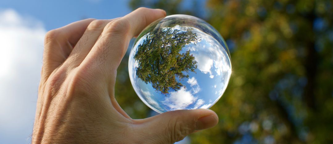 hand holding glass lens toward the sky and trees