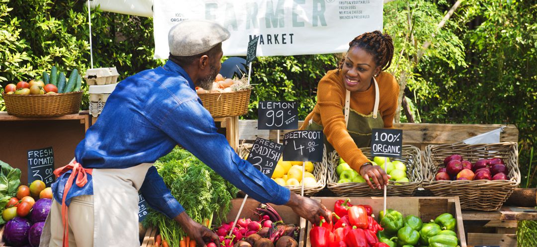 Greengrocer preparing organic fresh agricultural product at farmer market