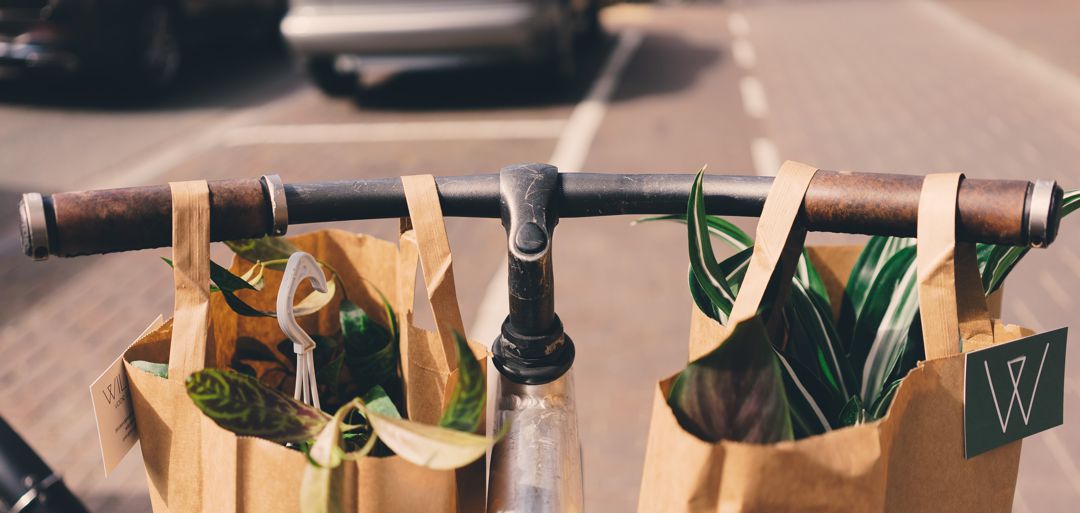 groceries in paper bags hanging on bicycle handlebars