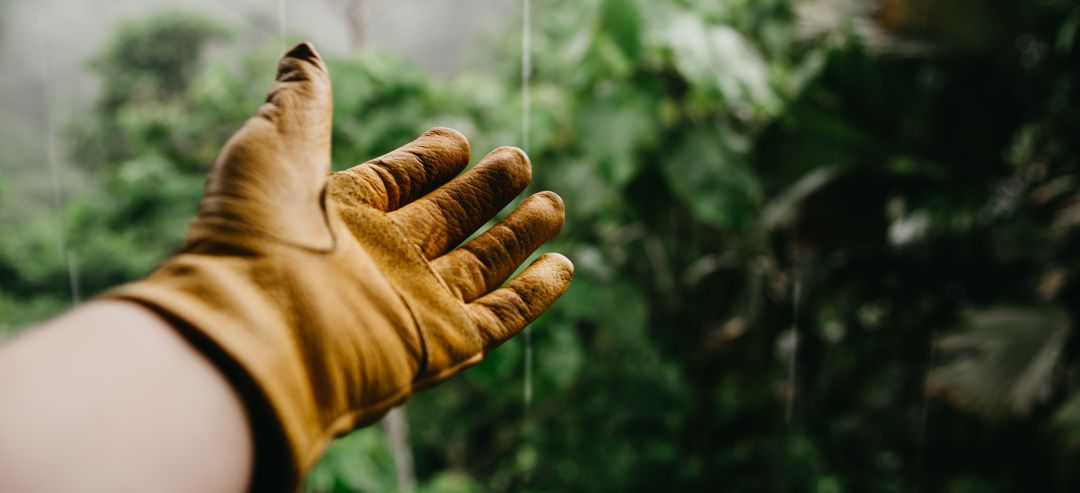 gardening gloved hand reaching toward drizzle of water