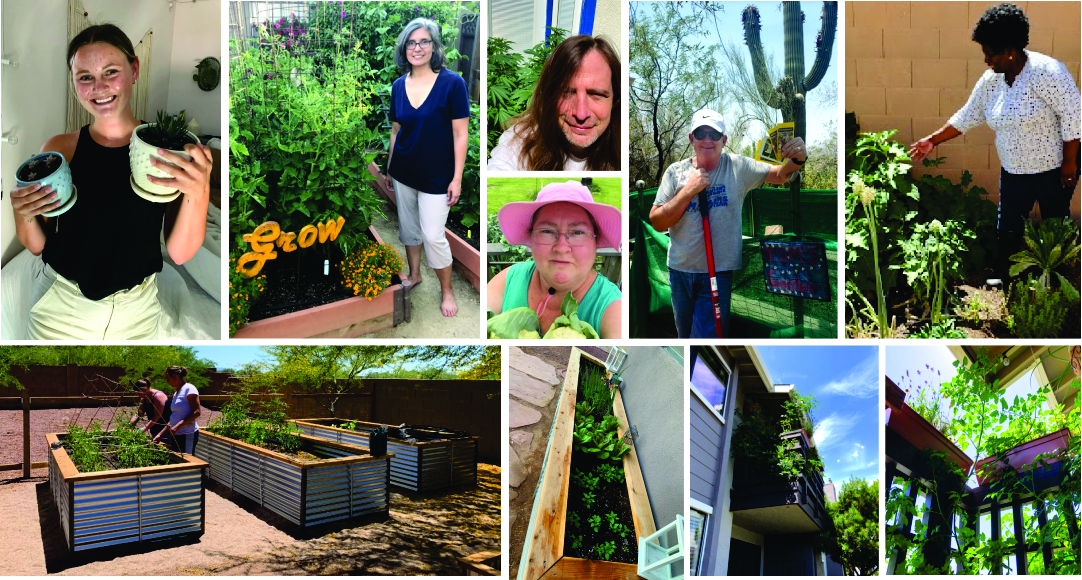 images of guest gardeners and some of their gardens