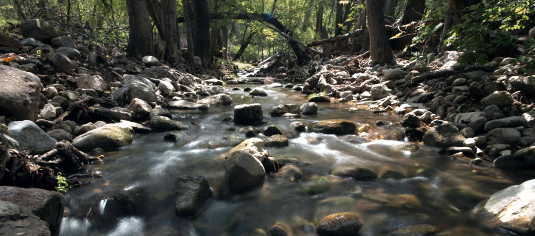 creek flowing over rocks