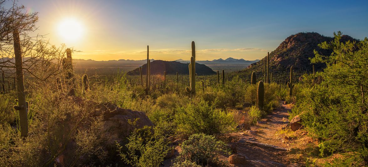 Arizona Trail