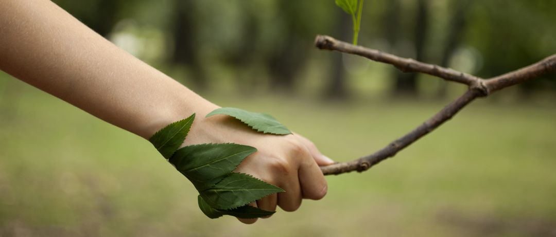 Environment concept. Handshake between human hand and tree.